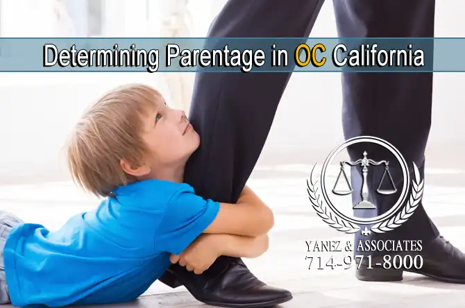 Child Support as a Non-Biological Father
