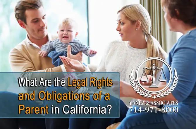 What Are the Legal Rights and Obligations of a Parent in California