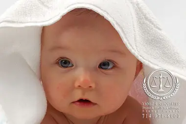 Legal Rights vs Physical Parenting in Paternity Cases | paternity lawyer