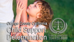 California Child Support Determination