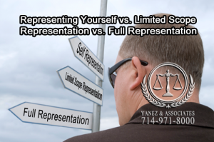 What are you most comfortable with: Representing Yourself vs. Limited Scope Representation vs. Full Representation?