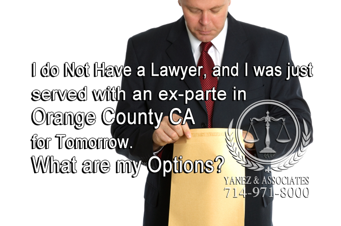 I do Not Have a Lawyer, and I was just served with an ex-parte in Orange County CA for Tomorrow. What are my Options?