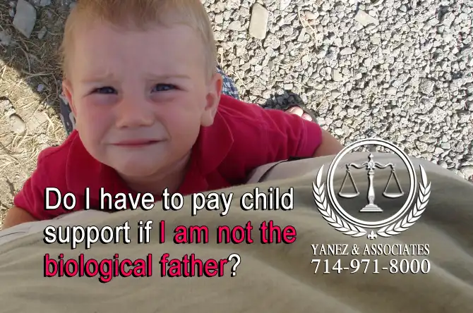Do I have to pay child support if I am not the biological father?